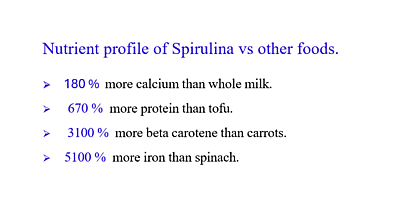Spirulina Energy Bar Spirulina Energy Bar