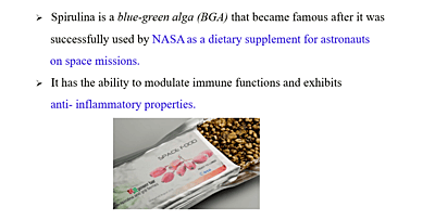 Spirulina Energy Bar Spirulina Energy Bar